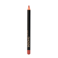 Lápiz Delineador de Labios Silk
